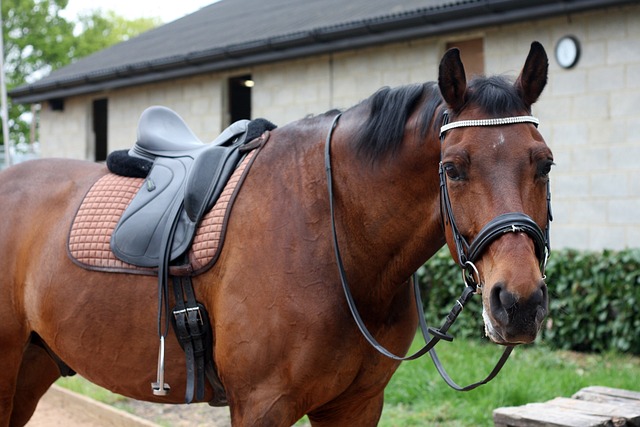 球员抢断后反击一条龙